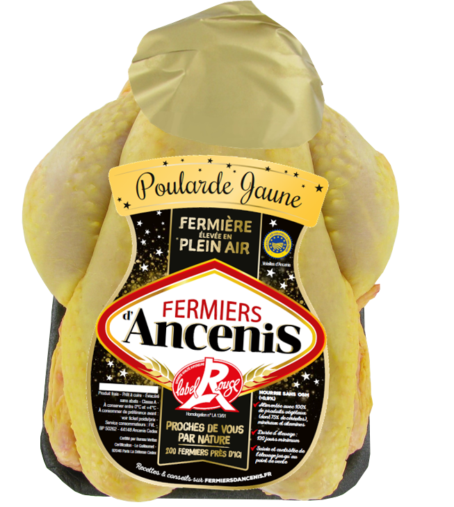 volaille festive poularde jaune